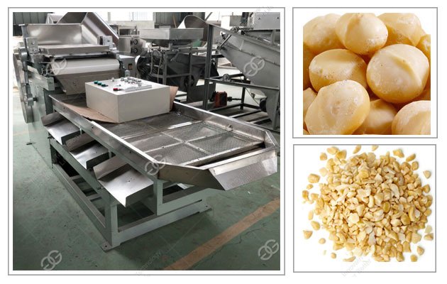 Nuts Chopping Machine Manufacturer