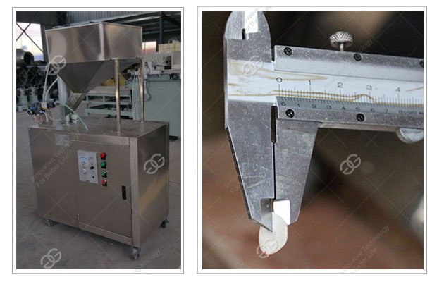 Automatic Hazelnut Processing Equipment