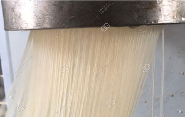 Corn Noodle Production