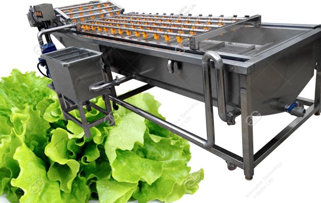 Commercial Small Farm Vegetable Washing Equipment And Machine